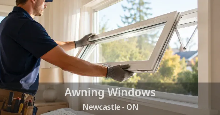 Awning Windows Newcastle - ON