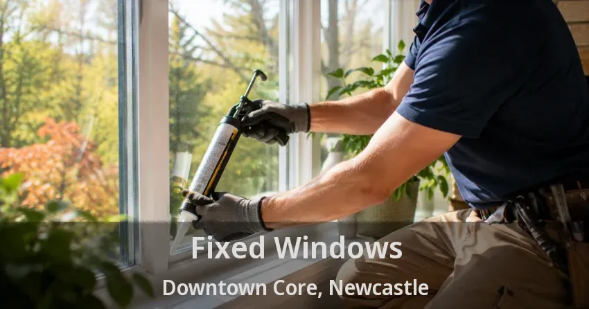 Fixed Windows Downtown Core, Newcastle - ON