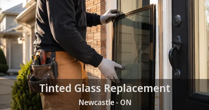 Tinted Glass Replacement Newcastle - ON
